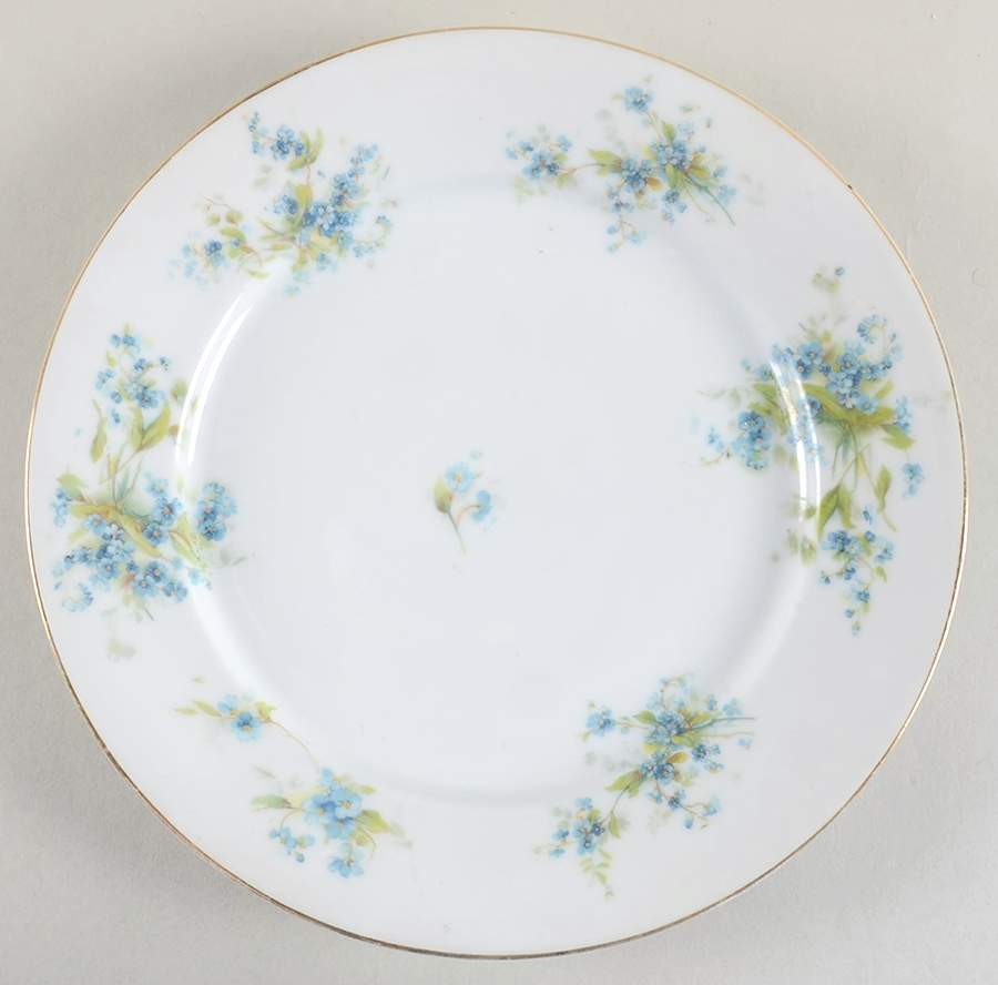 RSC47 Dinner Plate by Royal Schwarzburg-1