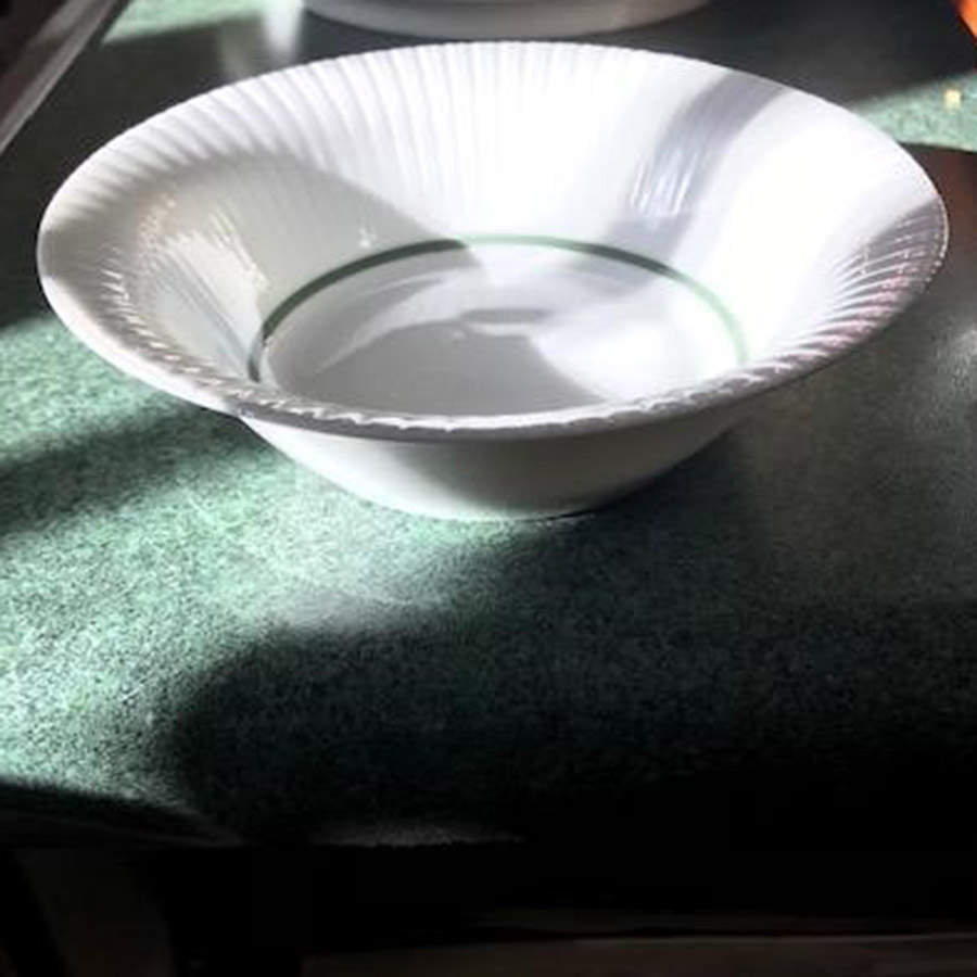 Avocado Fruit/Dessert (Sauce) Bowl by Rosenthal - Continental-1