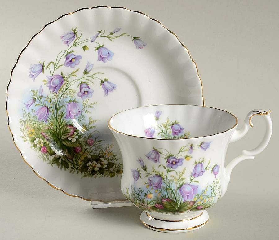 Sunnyside Series (Montrose Shape) Footed Cup & Saucer Set by Royal Albert-1