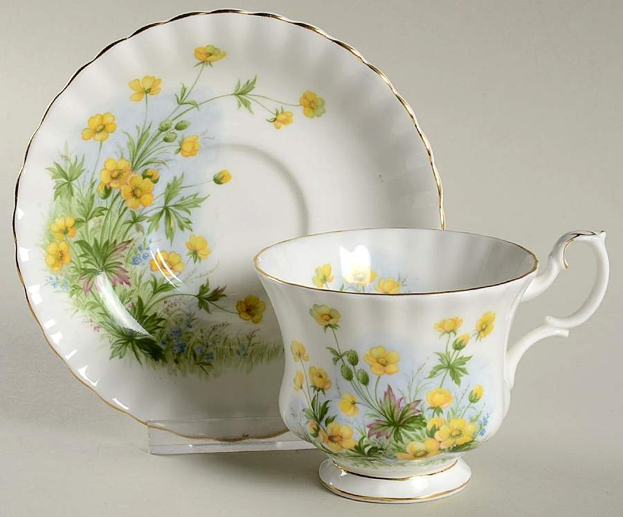 Sunnyside Series (Montrose Shape) Footed Cup & Saucer Set by Royal Albert-1