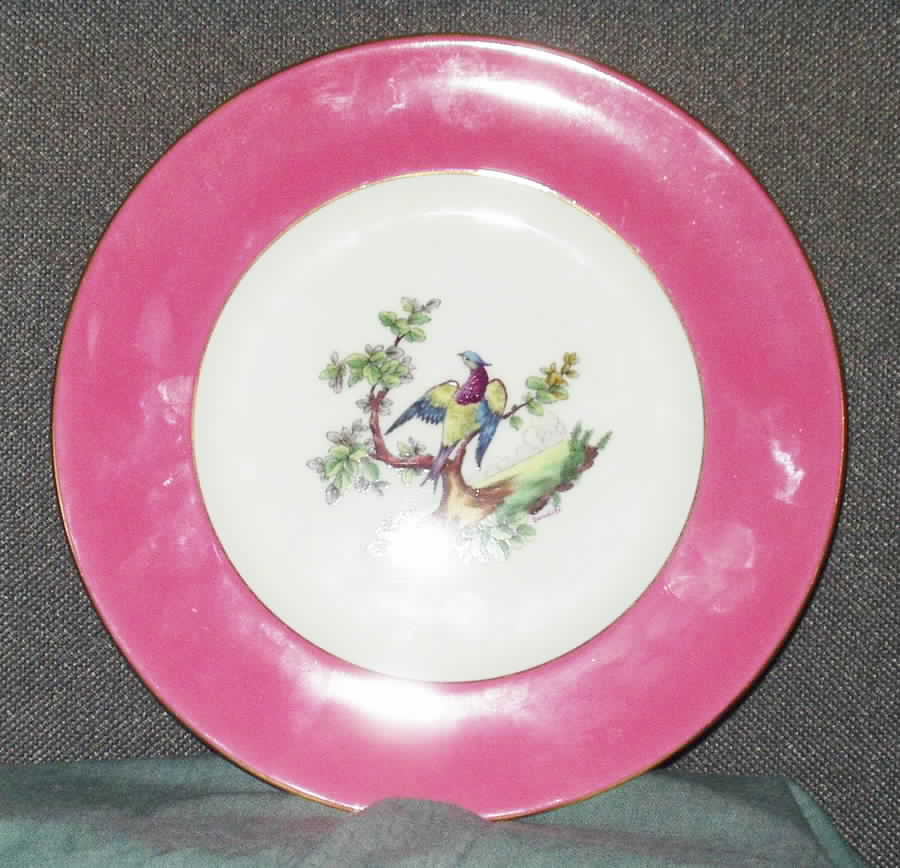 2067 Luncheon Plate by Royal Cauldon-1
