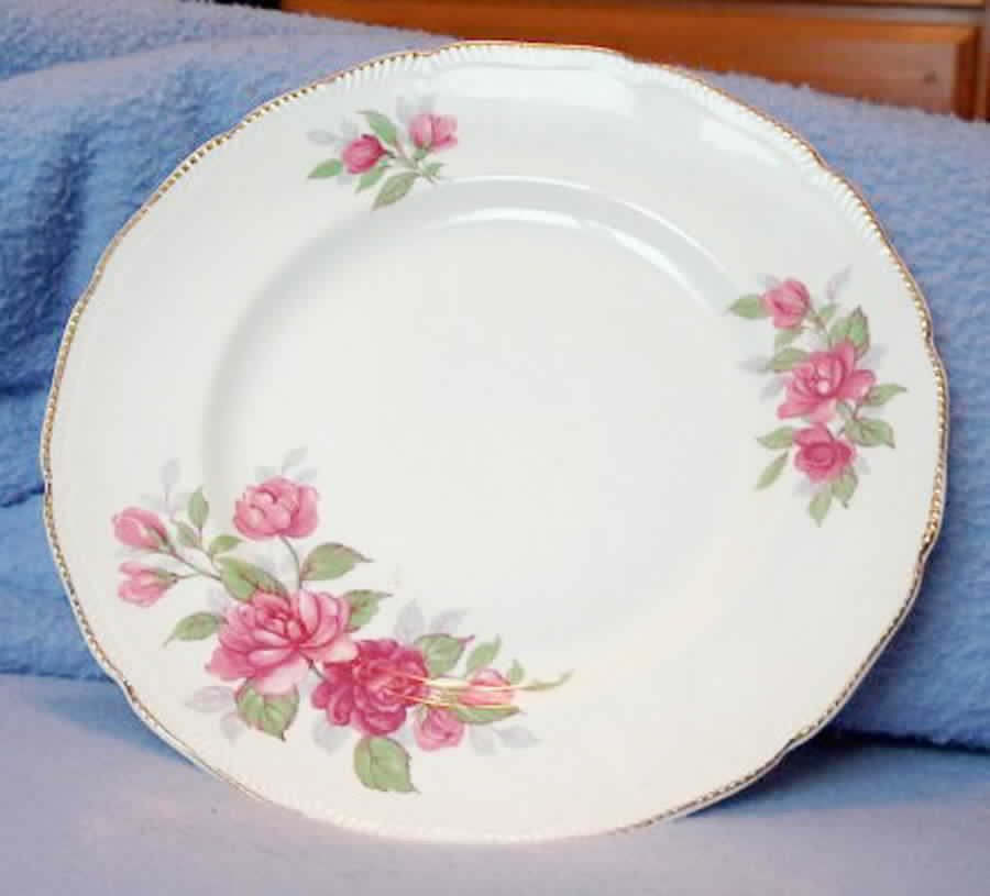 RSN8 Dinner Plate by Royal Swan-1