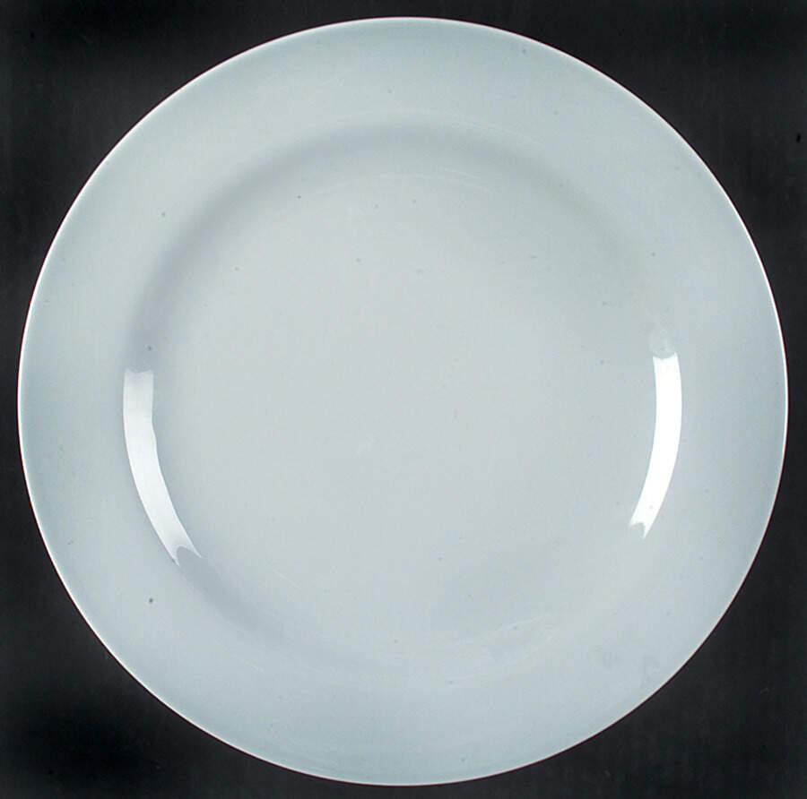 Moon Light Two Dark Light Gray (No Decal) Dinner Plate by Rosenthal - Continental-1
