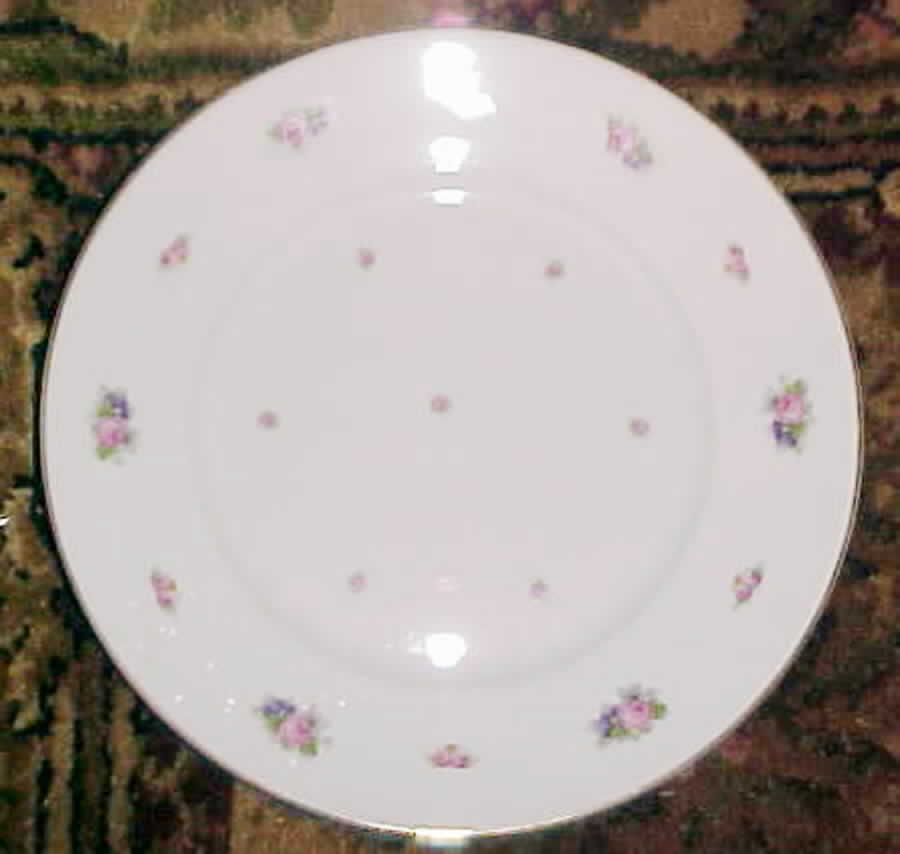 R1377 Dinner Plate by Rosenthal - Continental-1