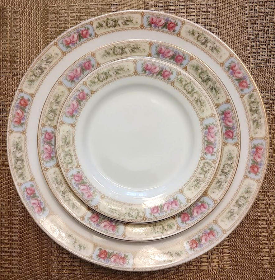 Rsc50 Dinner Plate by Royal Schwarzburg-1