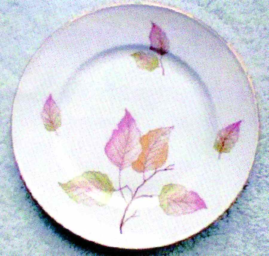 Rxh3 Salad Plate by Retsch & Co-1