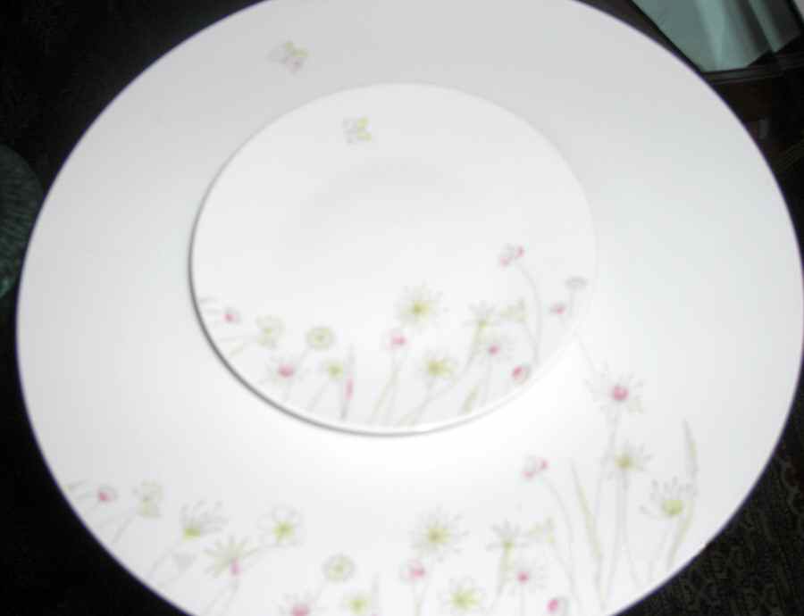 3331 (Floral, Fortuna Shape) Dinner Plate by Rosenthal - Continental-1