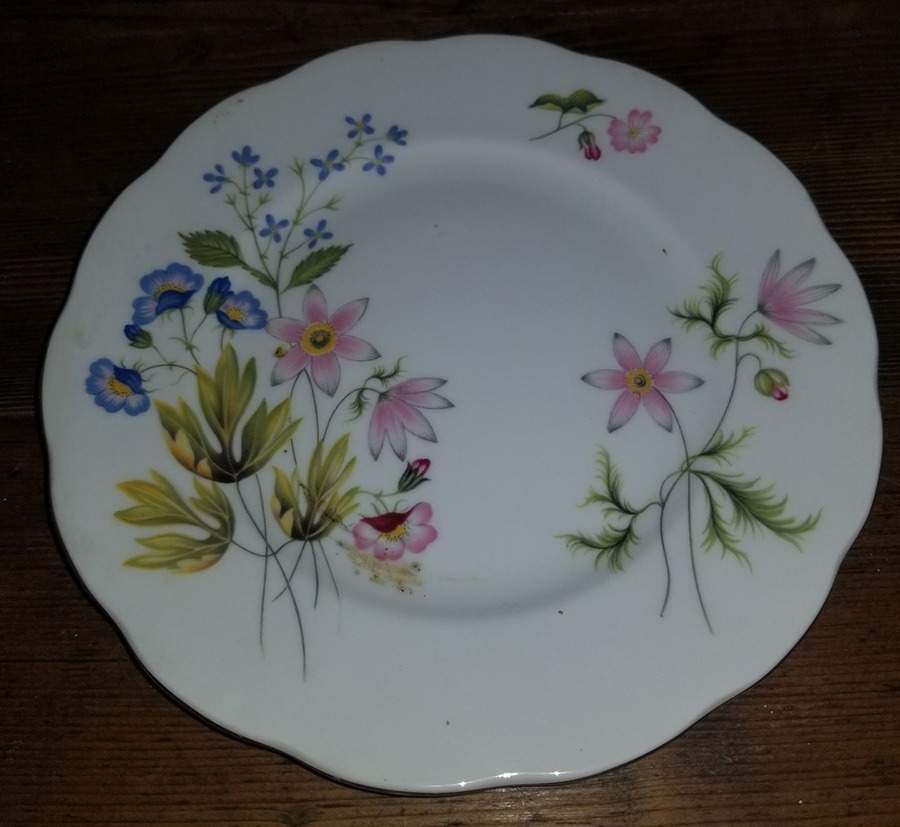 Wild Anemone (Scalloped) Bread & Butter Plate by Richmond (England)-1