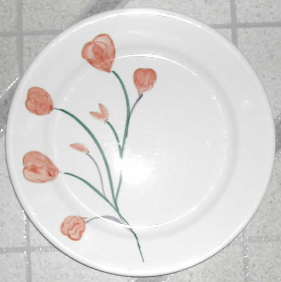 Candide Dinner Plate by Retroneu-1