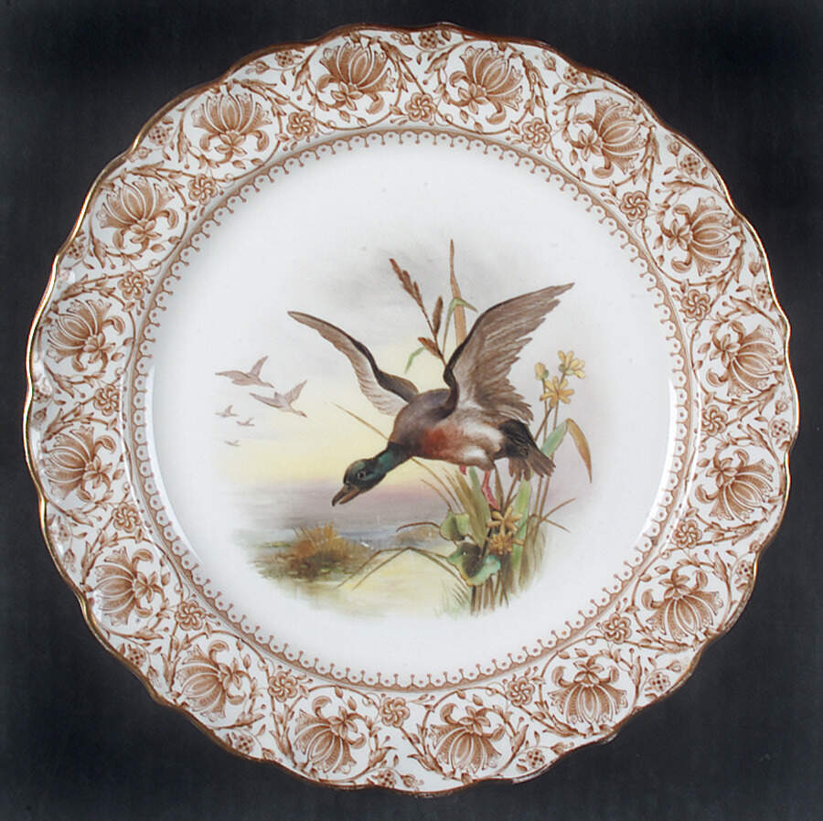 W3717 Luncheon Plate by Royal Worcester-1