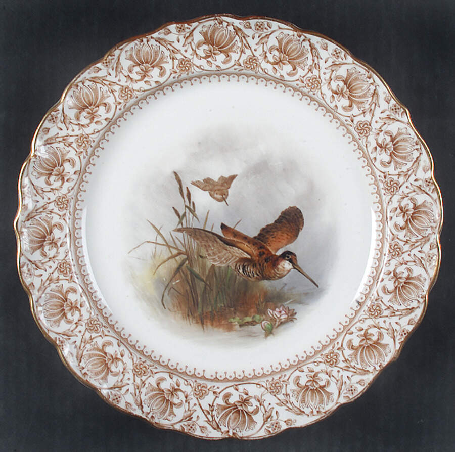 W3717 Luncheon Plate by Royal Worcester-1