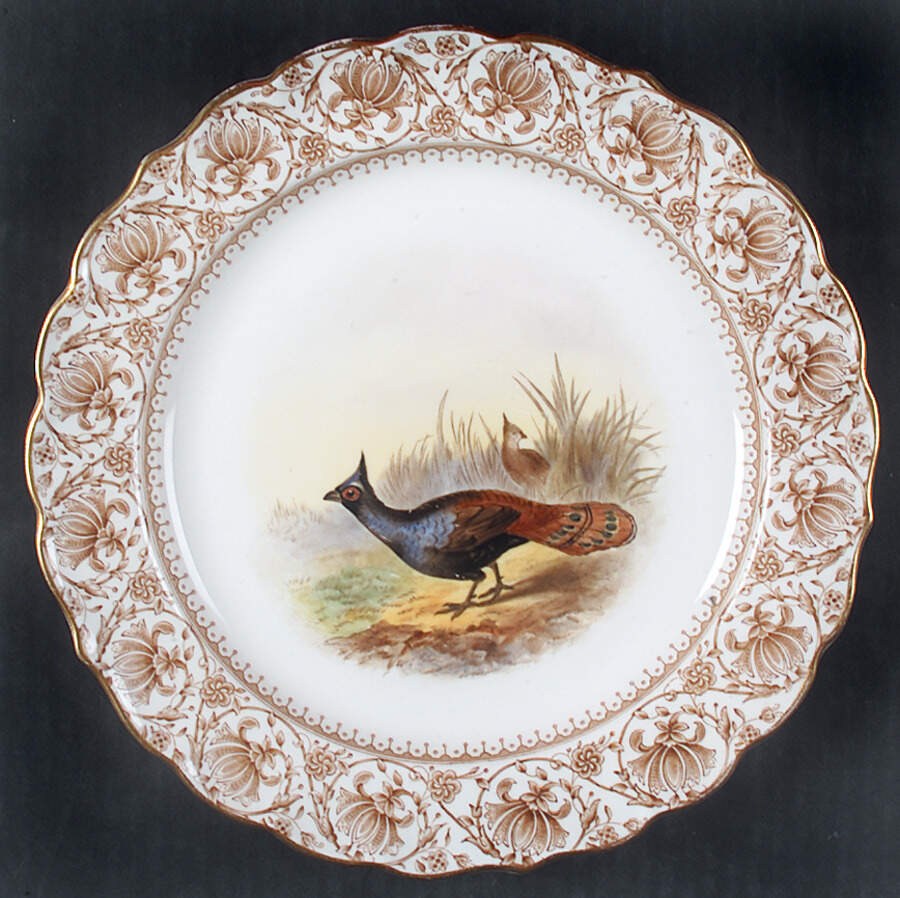 W3717 Luncheon Plate by Royal Worcester-1