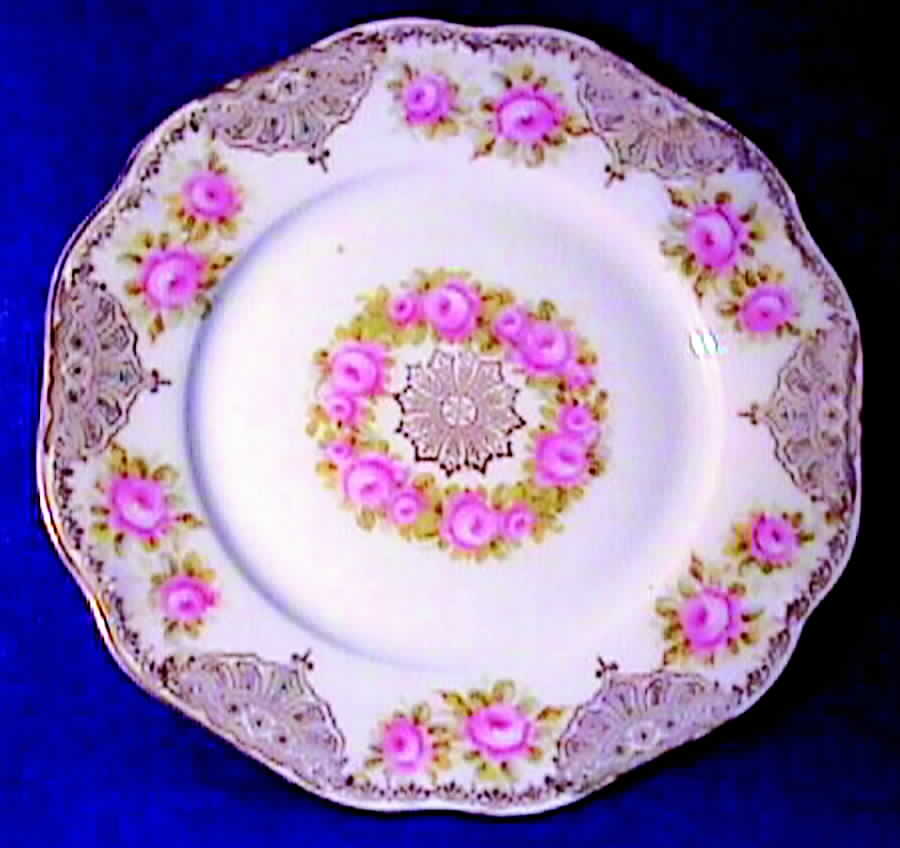 R1404 Dinner Plate by Rosenthal - Continental-1
