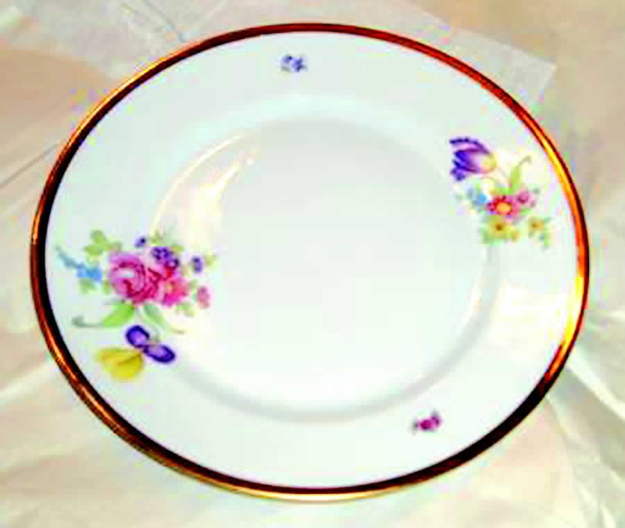 1901 (Multicolor) Dinner Plate by Rosenthal - Continental-1