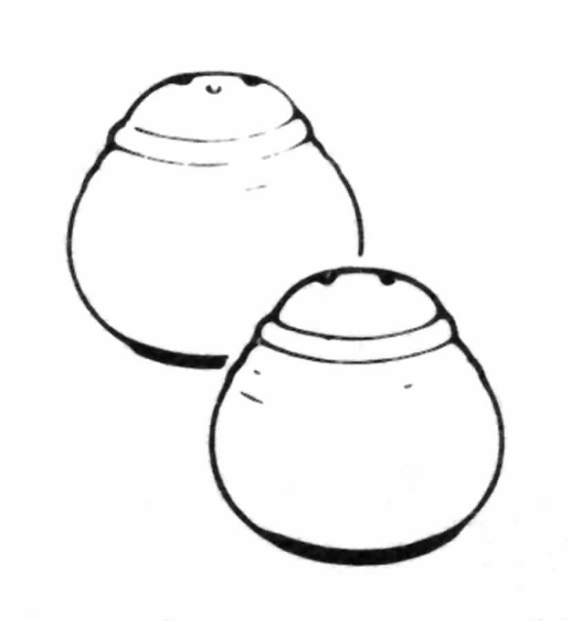 Prairie Song Salt & Pepper Set by Noritake-1