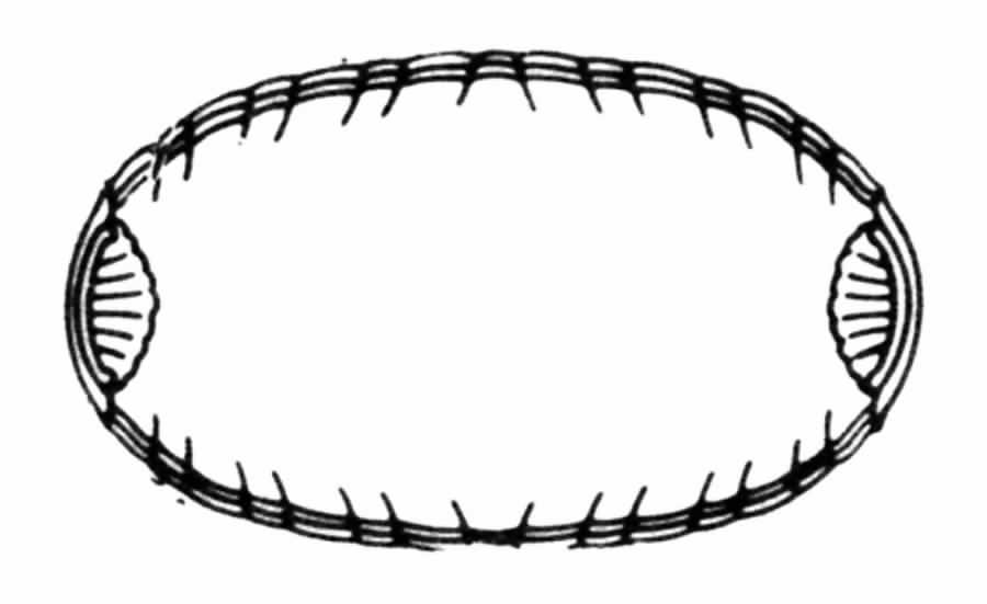 Astair Relish/Butter Tray by Noritake-1