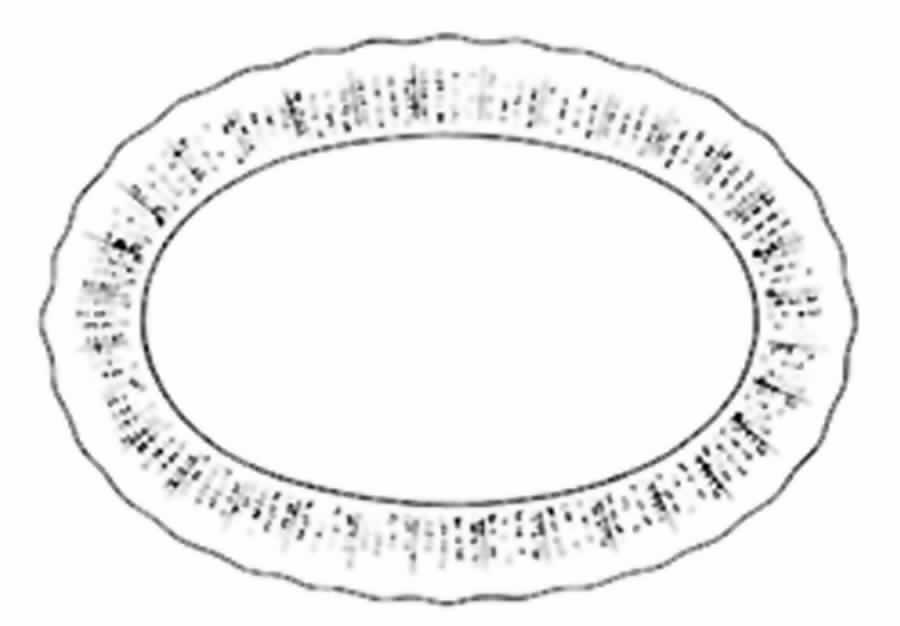 Wicker Dell 12" Oval Serving Platter by Spode-1