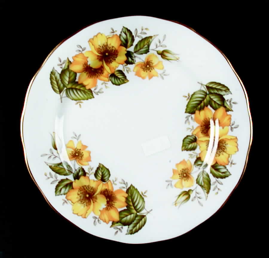 8610 Bread & Butter Plate by Royal Vale-1