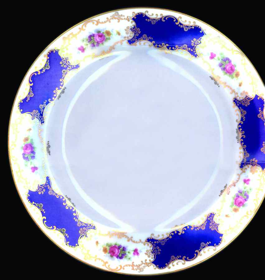 R1406 Dinner Plate by Rosenthal - Continental-1