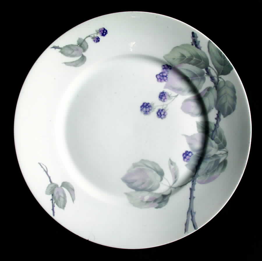 R1422 Dinner Plate by Rosenthal - Continental-1