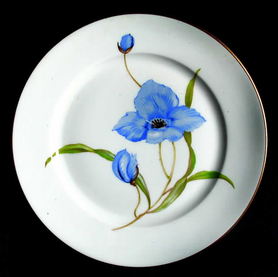 R1423 Salad Plate by Rosenthal - Continental-1