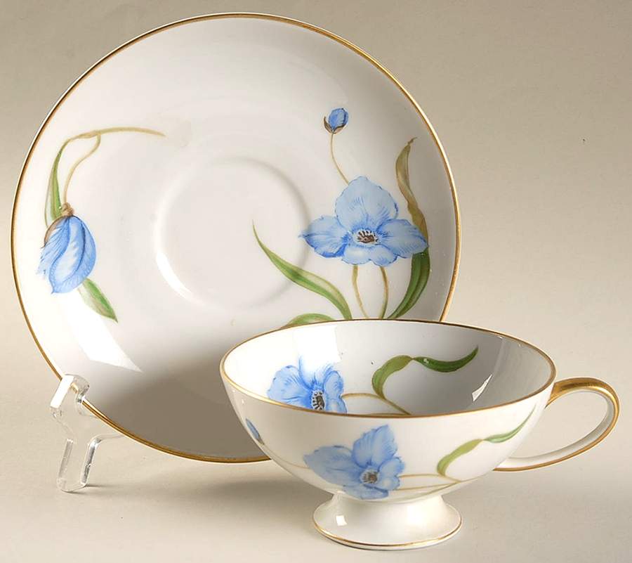 R1423 Footed Cup & Saucer Set by Rosenthal - Continental-1