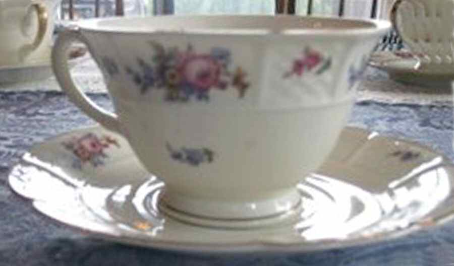 R1153 Footed Cup & Saucer Set by Rosenthal - Continental-1