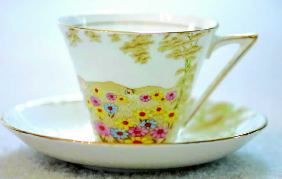 Daisyfield Flat Cup & Saucer Set by Royal Standard-1