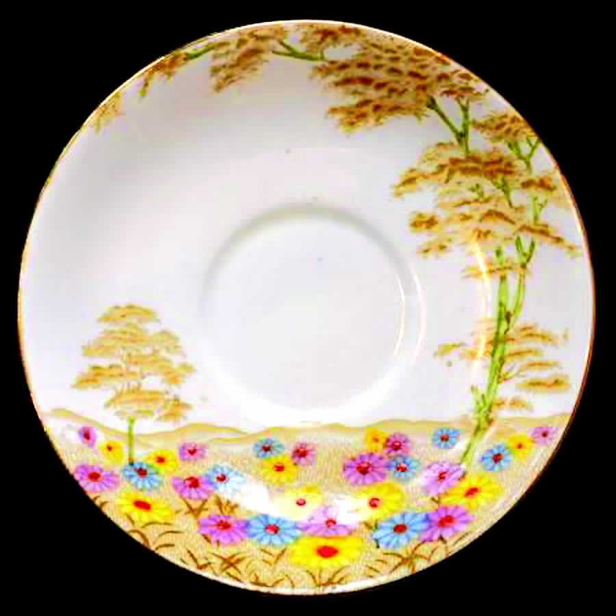 Daisyfield Saucer by Royal Standard-1