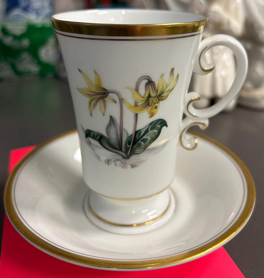 Alpine Flowers Irish Coffee Cup and Saucer Set by Royal Worcester-1
