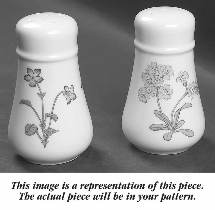 Overture Salt & Pepper Set by Noritake-1