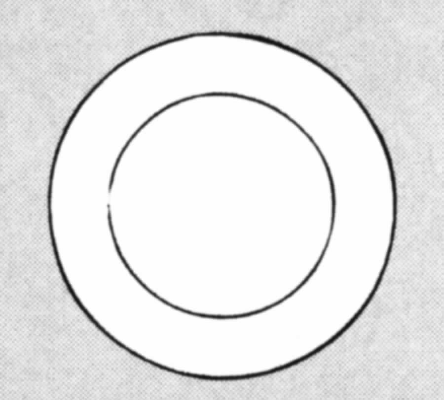 Trailfinder Salad Plate by Royal Doulton-1