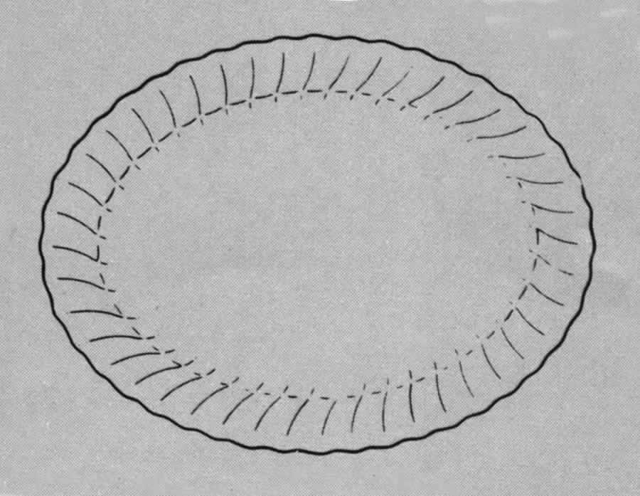 Chloe 13" Oval Serving Platter by Royal Doulton-1