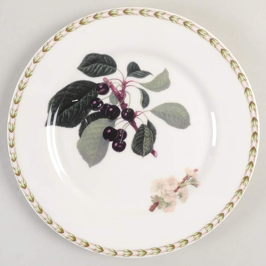 Hooker's Fruit (Fine China, Not Made in England) Salad/Dessert Plate by Rosina-Queens-1