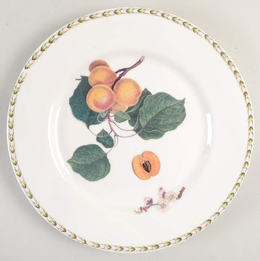 Hooker's Fruit (Fine China, Not Made in England) Dinner Plate by Rosina-Queens-1