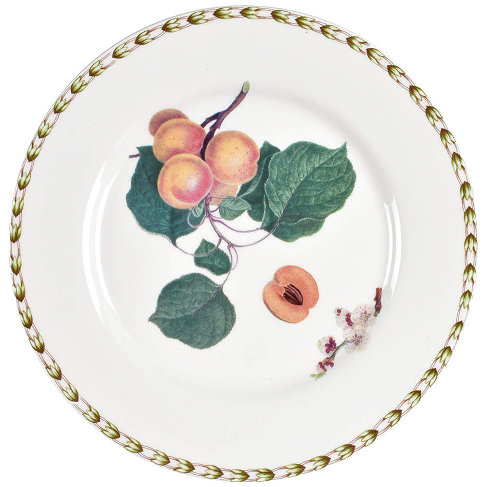 Hooker's Fruit (Fine China, Not Made in England) Salad/Dessert Plate by Rosina-Queens-1
