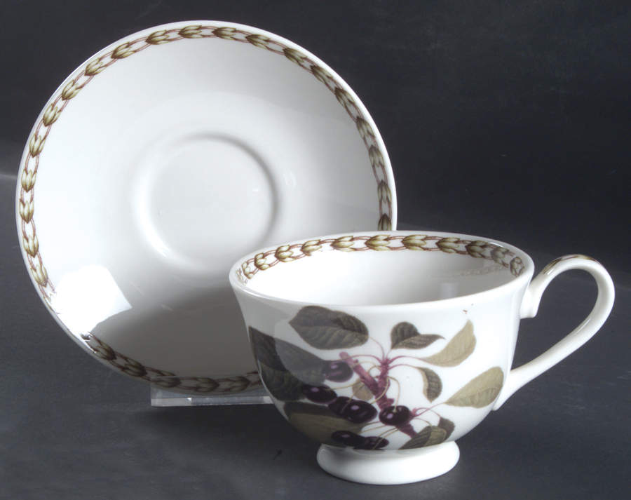 Hooker's Fruit (Fine China, Not Made in England) Footed Cup & Saucer Set by Rosina-Queens-1