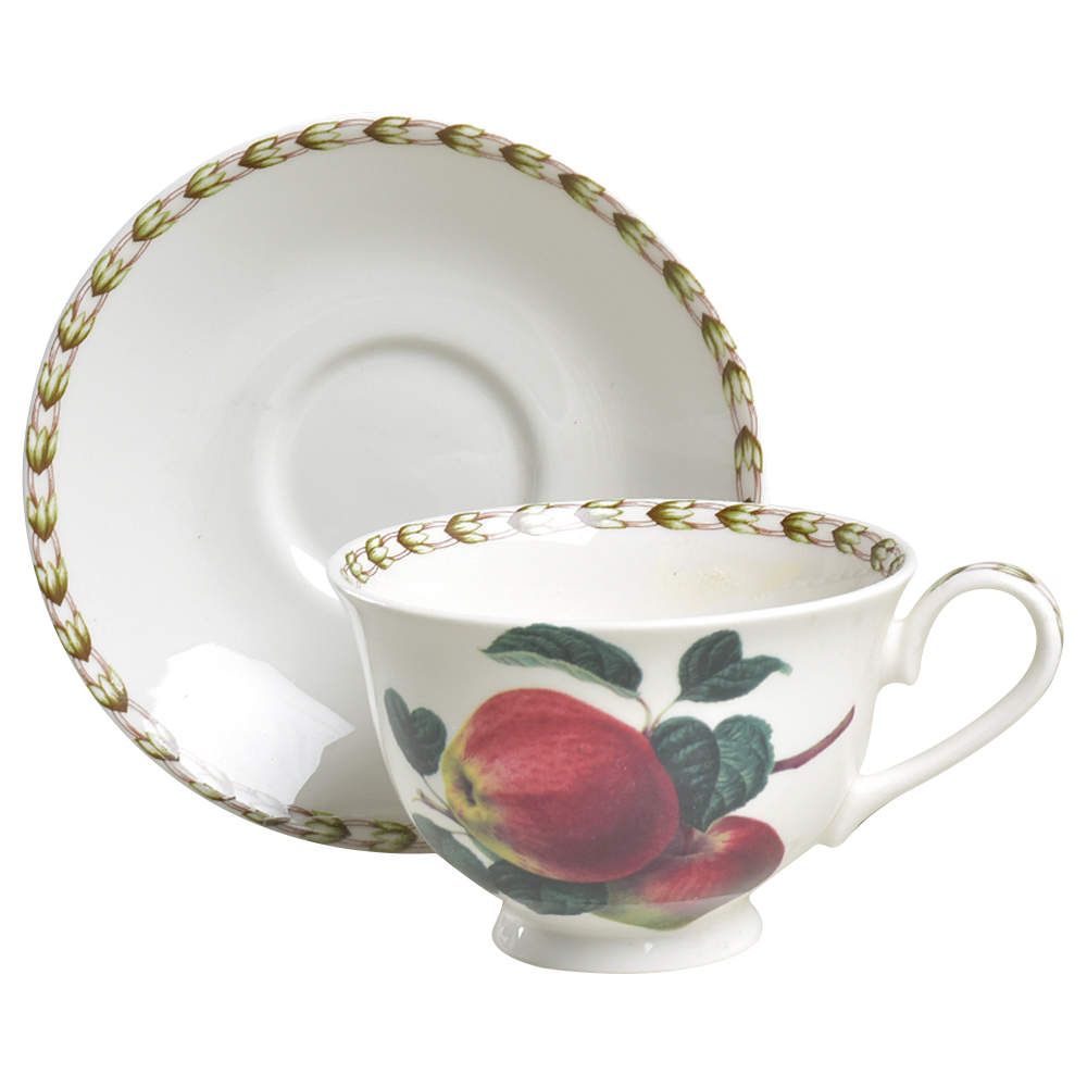Hooker's Fruit (Fine China, Not Made in England) Footed Cup & Saucer Set by Rosina-Queens-1