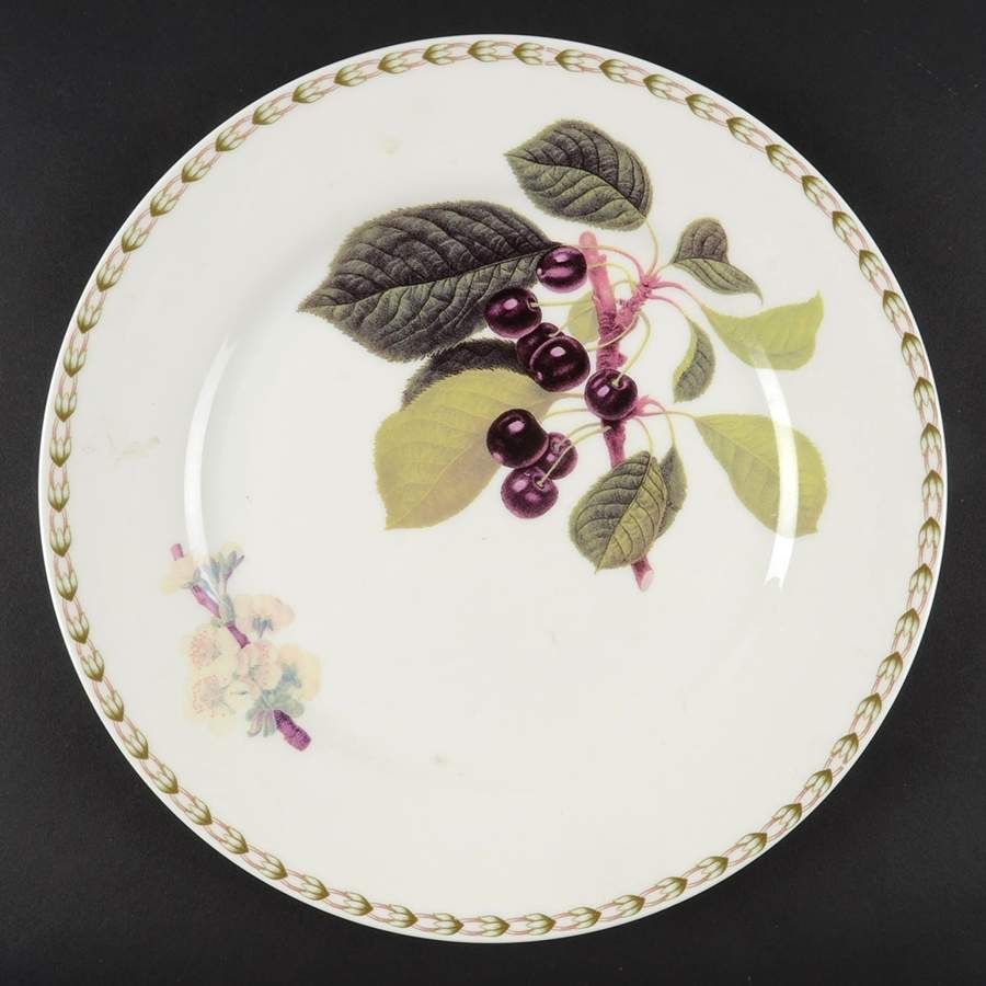 Hooker's Fruit (Fine China, Not Made in England) Dinner Plate by Rosina-Queens-1