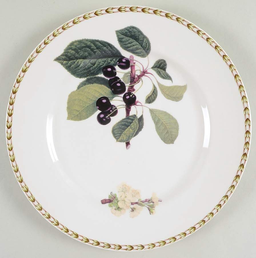 Hooker's Fruit (Fine China, Not Made in England) Dinner Plate by Rosina-Queens-1