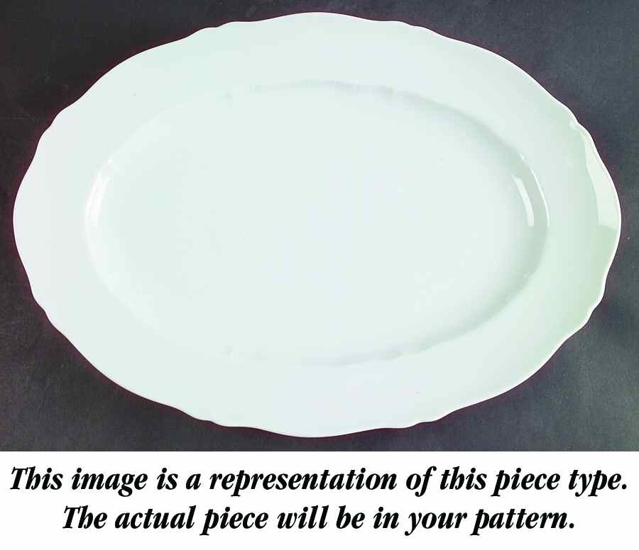 Centelle 14" Oval Serving Platter by Haviland-1