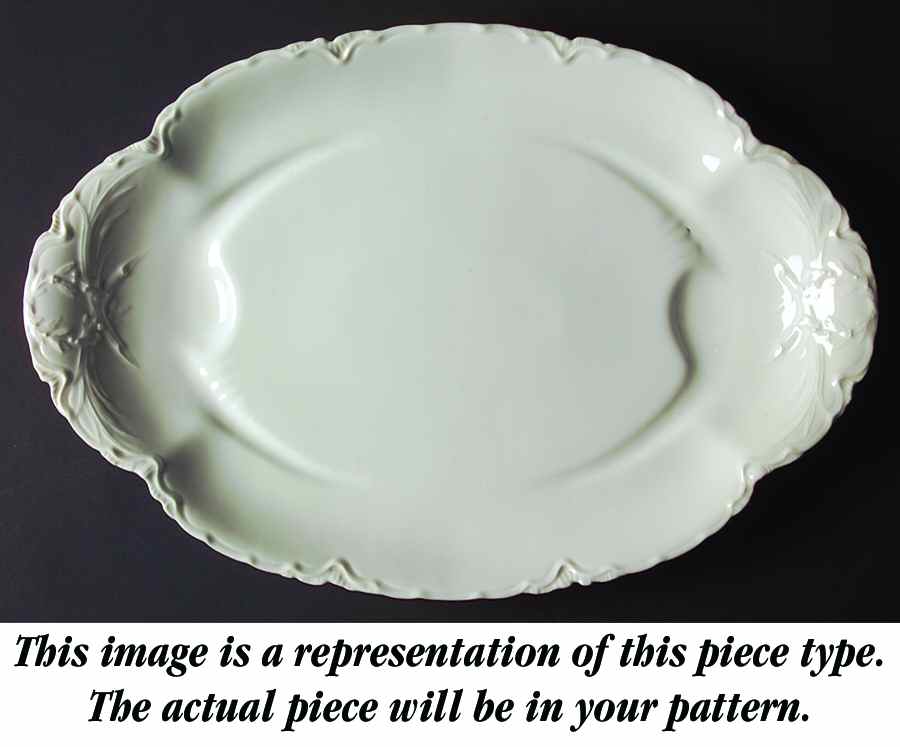 Norma 20" Oval Platter with Well by Haviland-1