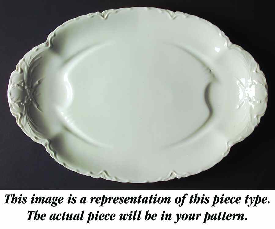 Norma 22" Oval Platter with Well by Haviland-1