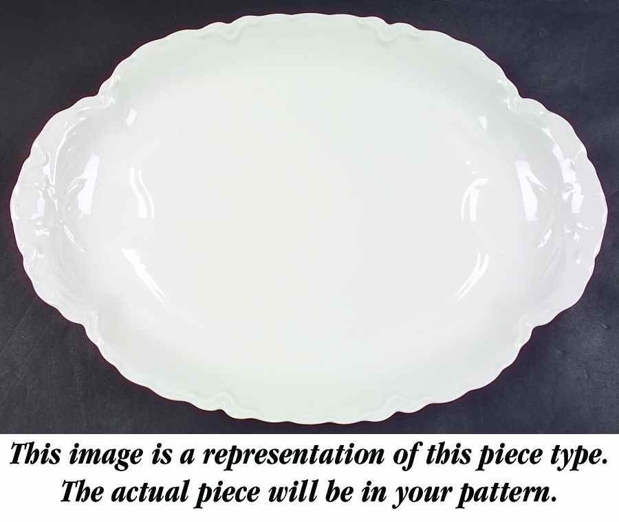 Norma 18" Oval Serving Platter with Well by Haviland-1