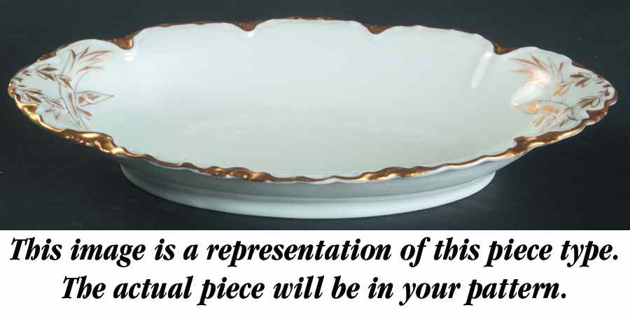 Schleiger 525 Relish by Haviland-1