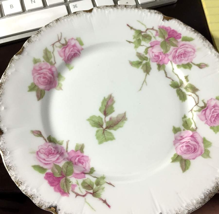 R1443 Dinner Plate by Rosenthal - Continental-1