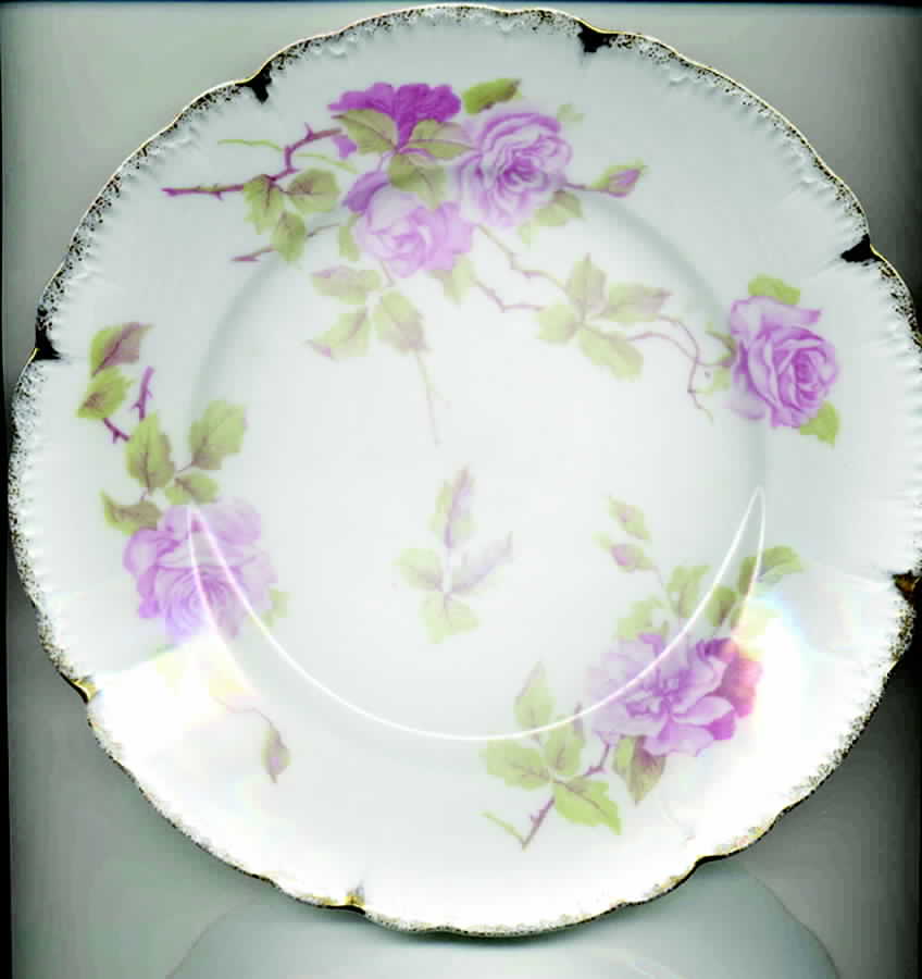 R1443 Luncheon Plate by Rosenthal - Continental-1