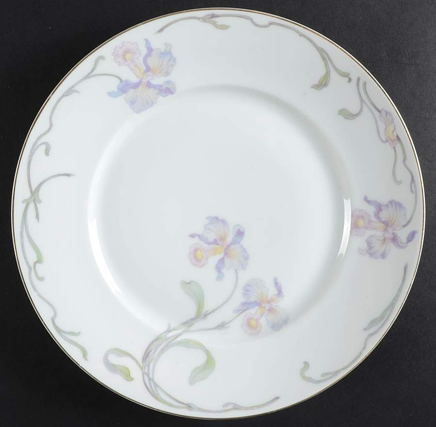 R1163 Dinner Plate by Rosenthal - Continental-1
