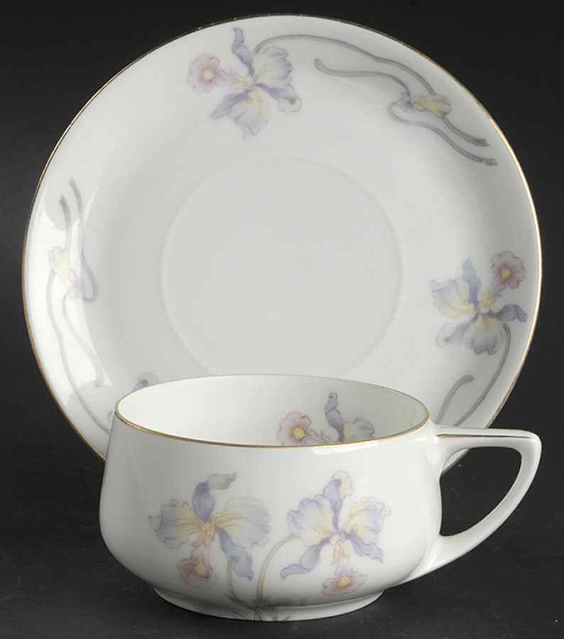 R1163 Flat Cup & Saucer Set by Rosenthal - Continental-1
