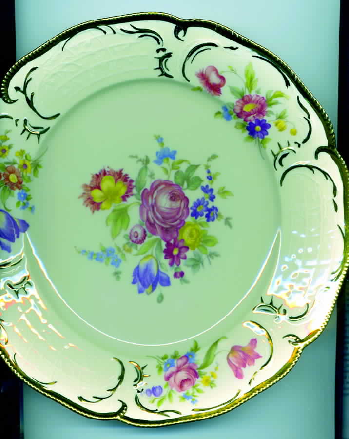 R1168 Dinner Plate by Rosenthal - Continental-1
